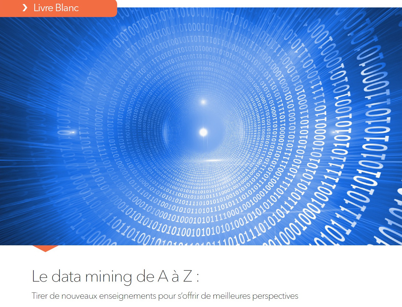 Data mining for business analytics datasets